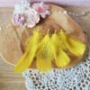 Plumes jaunes 5-12cm