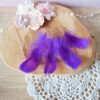 Plumes violettes 5-12cm