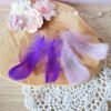 Plumes violettes 5-12cm