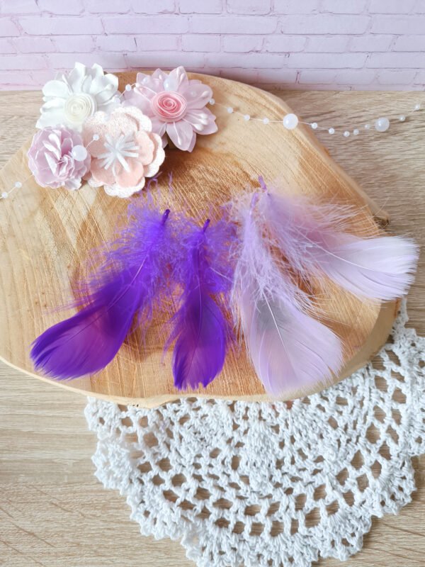 20230505_175112 Plumes violettes 5-12cm
