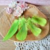 Plumes vertes 5-12cm