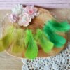 Plumes vertes 5-12cm