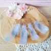 Plumes bleues 5-12cm