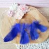 Plumes bleues 5-12cm