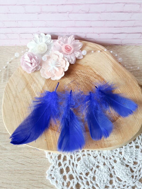 20230507_121945 Plumes bleues 5-12cm