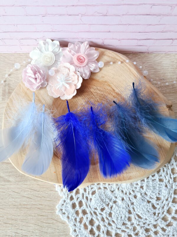 20230507_122303 Plumes bleues 5-12cm